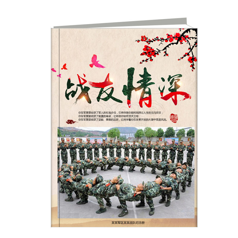 戰友情深
